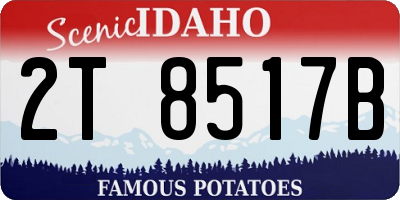 ID license plate 2T8517B