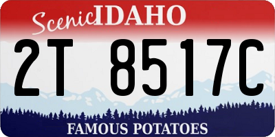 ID license plate 2T8517C