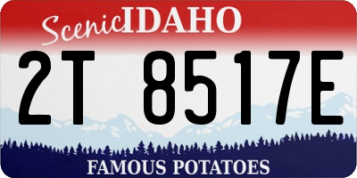 ID license plate 2T8517E