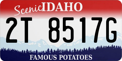 ID license plate 2T8517G