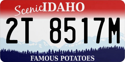 ID license plate 2T8517M