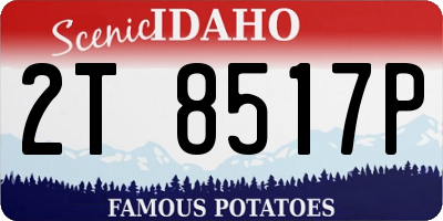 ID license plate 2T8517P