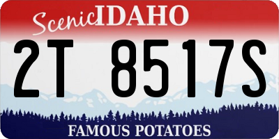 ID license plate 2T8517S