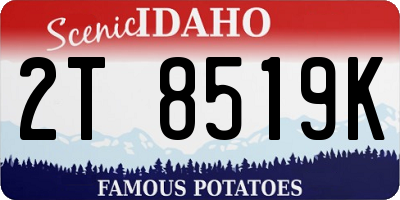 ID license plate 2T8519K