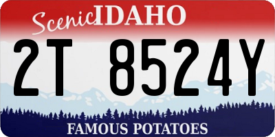 ID license plate 2T8524Y