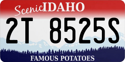 ID license plate 2T8525S