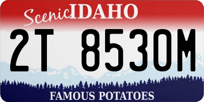 ID license plate 2T8530M