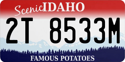 ID license plate 2T8533M