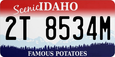 ID license plate 2T8534M