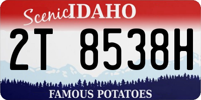 ID license plate 2T8538H