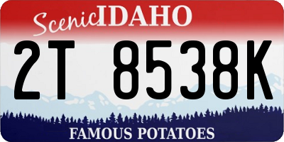 ID license plate 2T8538K