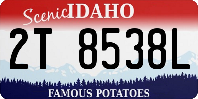 ID license plate 2T8538L