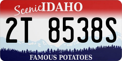 ID license plate 2T8538S