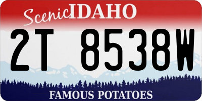 ID license plate 2T8538W