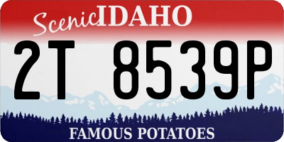 ID license plate 2T8539P