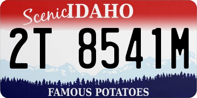 ID license plate 2T8541M
