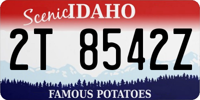 ID license plate 2T8542Z