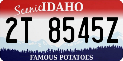 ID license plate 2T8545Z