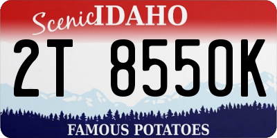 ID license plate 2T8550K