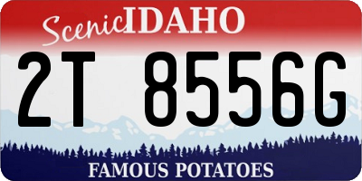 ID license plate 2T8556G