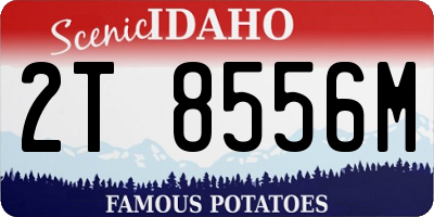 ID license plate 2T8556M