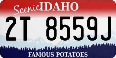ID license plate 2T8559J
