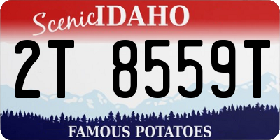 ID license plate 2T8559T