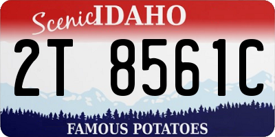 ID license plate 2T8561C
