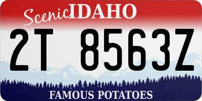 ID license plate 2T8563Z