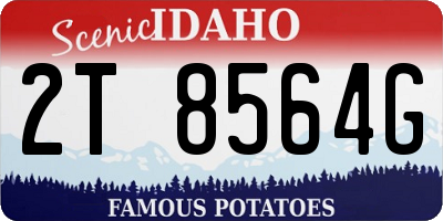ID license plate 2T8564G