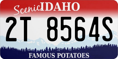 ID license plate 2T8564S
