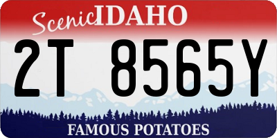 ID license plate 2T8565Y