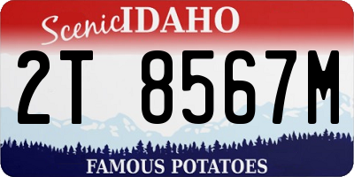 ID license plate 2T8567M