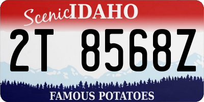 ID license plate 2T8568Z
