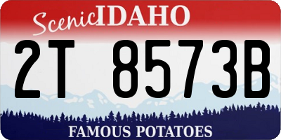 ID license plate 2T8573B