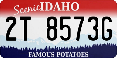 ID license plate 2T8573G