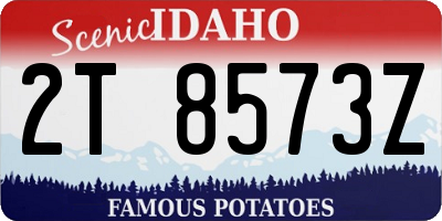 ID license plate 2T8573Z