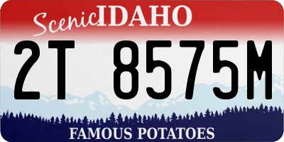 ID license plate 2T8575M