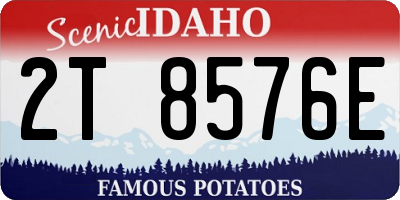ID license plate 2T8576E