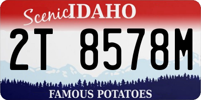 ID license plate 2T8578M