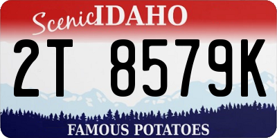 ID license plate 2T8579K