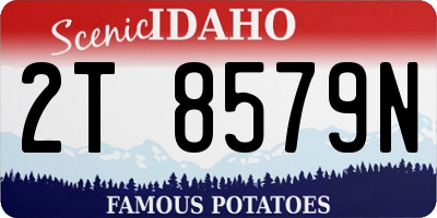ID license plate 2T8579N