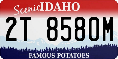ID license plate 2T8580M