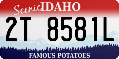ID license plate 2T8581L