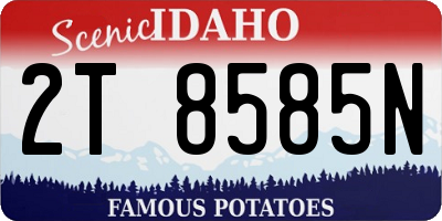 ID license plate 2T8585N