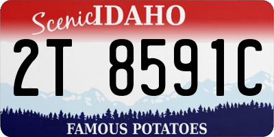ID license plate 2T8591C