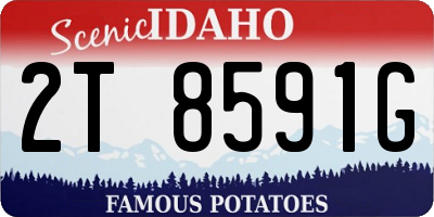 ID license plate 2T8591G