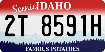 ID license plate 2T8591H