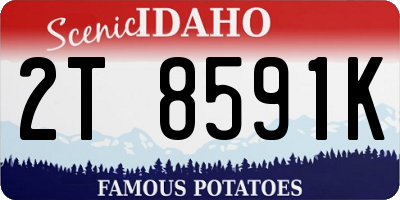 ID license plate 2T8591K