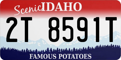 ID license plate 2T8591T